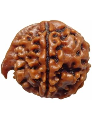 ganesh rudraksha tantraastro