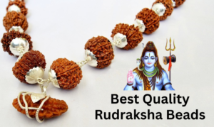 rudraksha-mala-tantra-astro