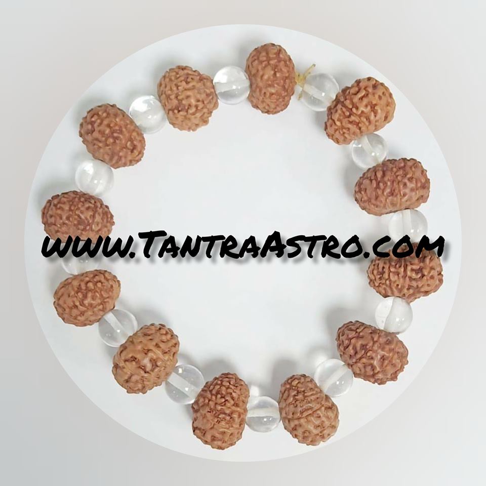 9 face rudraksha bracelat