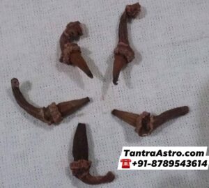 laxmi laung tantraastro
