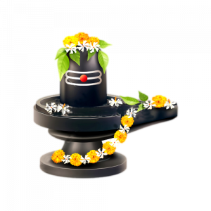 rudrabhishek-puja tantra astrorudrabhishek-puja tantra astrorudrabhishek-puja tantra astrorudrabhishek-puja tantra astro