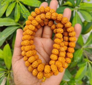 rudraksha mala