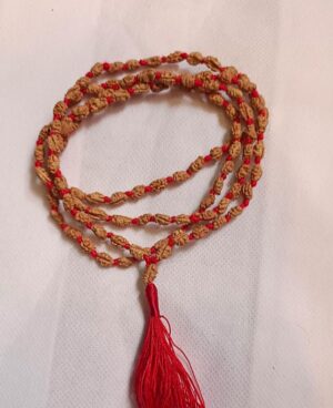 ek mukhi indonesia java mala एक मुखी रुद्राक्ष ek mukhi rudraksha one face rudraksha