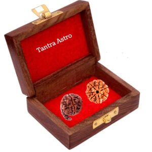 लक्ष्मी गणेश रुद्राक्ष कवच laxmi ganesh rudraksha