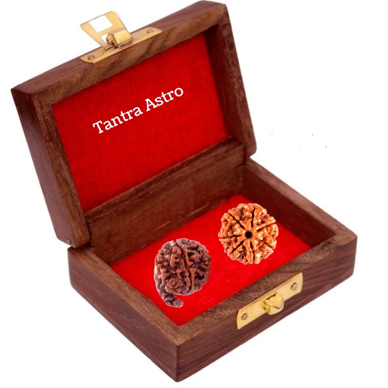 लक्ष्मी गणेश रुद्राक्ष कवच laxmi ganesh rudraksha