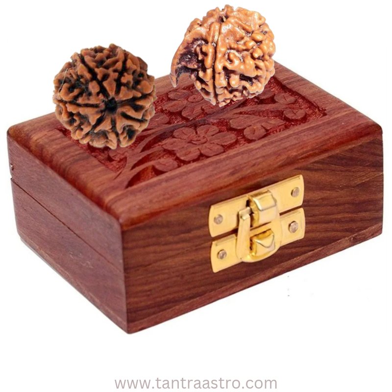 लक्ष्मी गणेश रुद्राक्ष कवच laxmi ganesh rudraksha