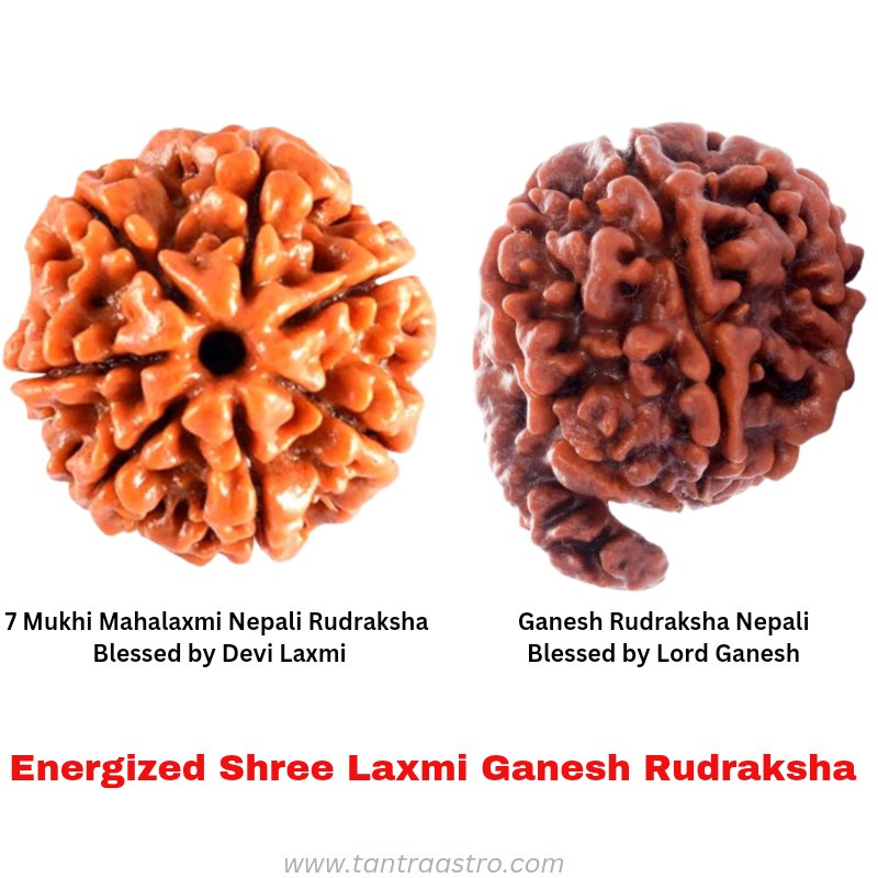 लक्ष्मी गणेश रुद्राक्ष कवच laxmi ganesh rudraksha