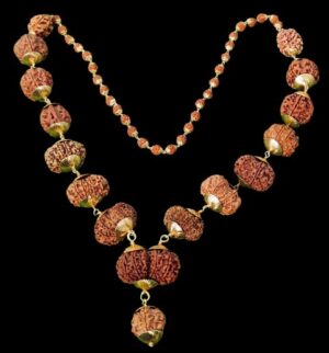 siddha rudraksha nepali mala नेपाली सिद्ध रुद्राक्ष माला tantra astro