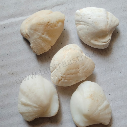 मच्छ मणि macch machh mani