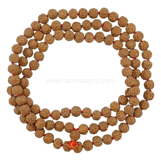 पथरी रुद्राक्ष माला pathari rudraksha mala