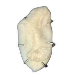 shukra mani stone शुक्र मणि