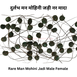 man mohini vashikaram mohini jadi